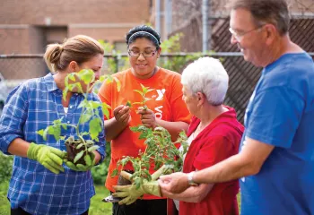 volunteers gardening