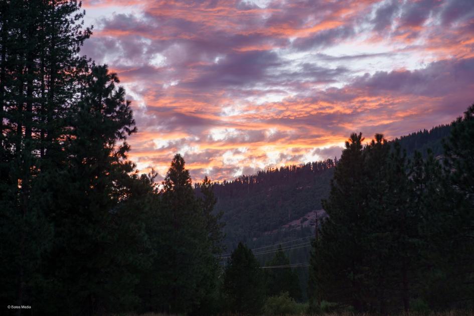 Bear Valley YMCA Camp