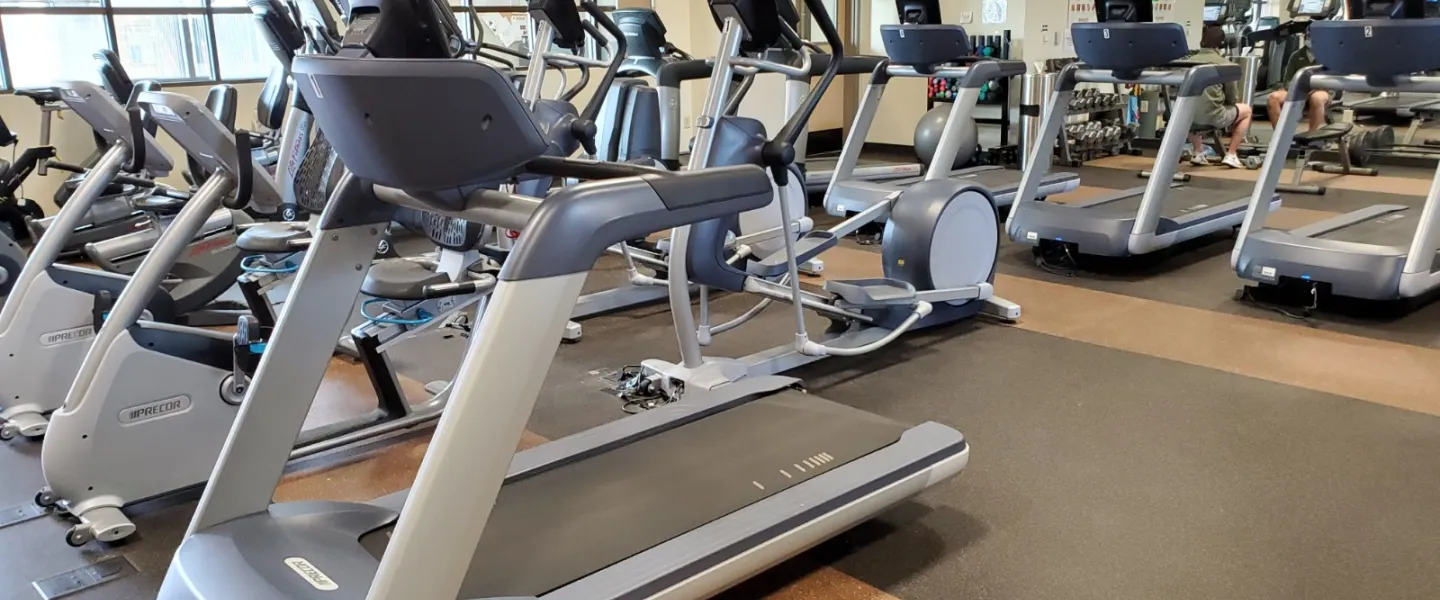 yolo gym