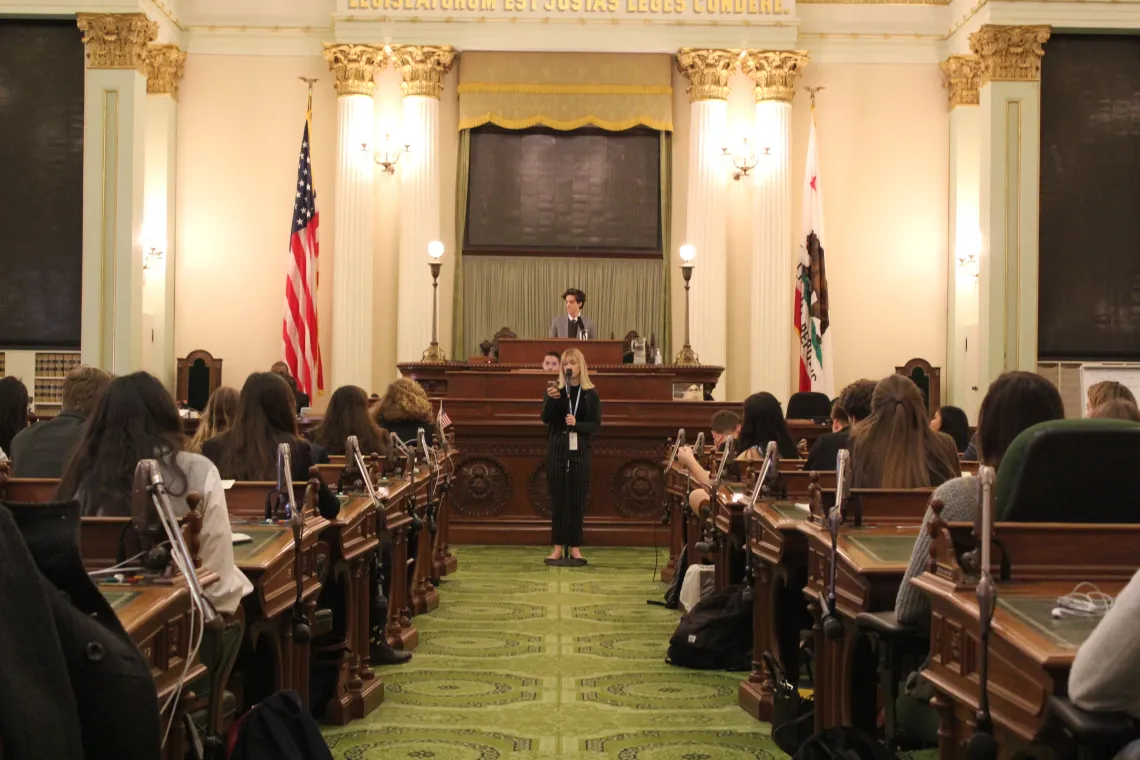 youth government