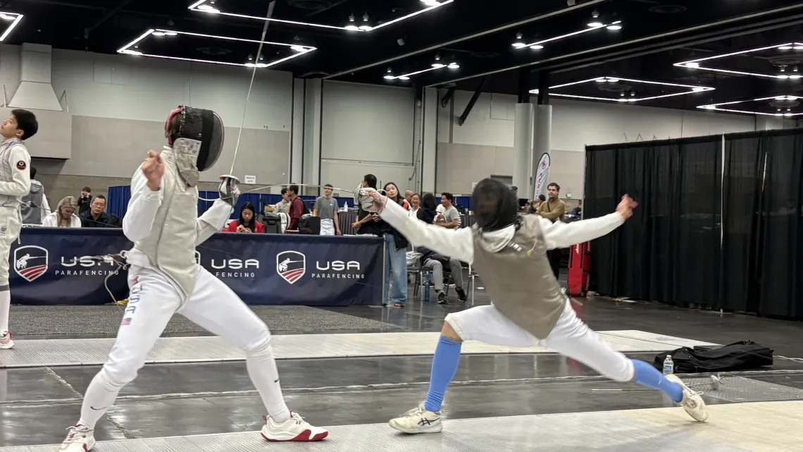 fencing