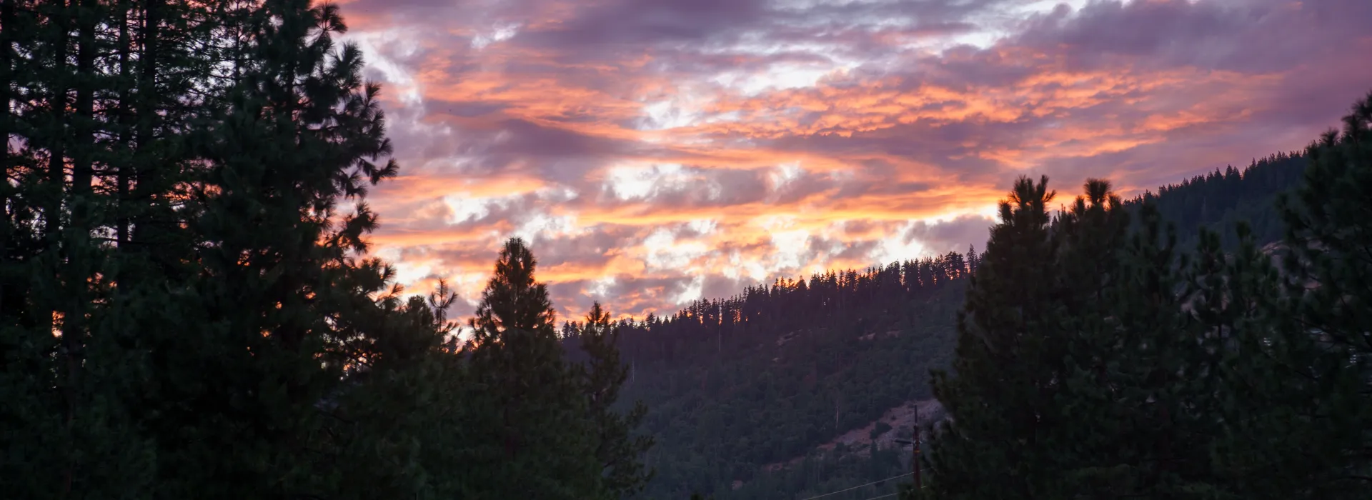 sunset seen in between forest trees