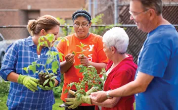 volunteers gardening